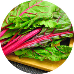 Swiss Chard
